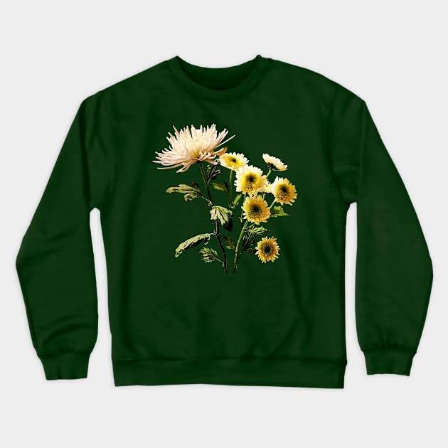 Chrysanthemums - Mums Medley Crewneck Sweatshirt by SusanSavad